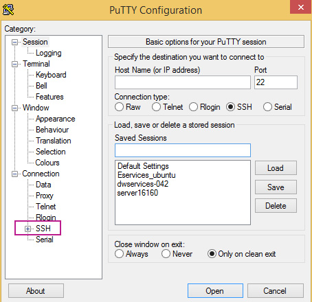 compute engine instance and putty SSH, putty section